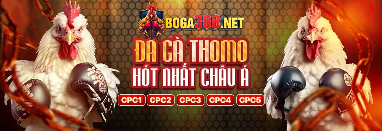 Đá gà l88 trực tiếp